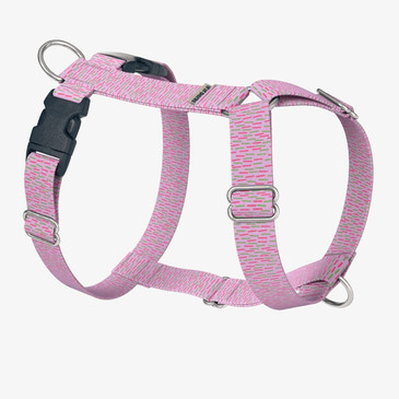 front view of harness front view of harness